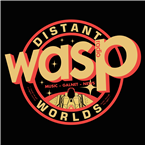 Wasp Radio