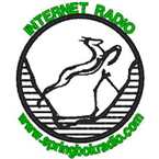 Springbokradio.com