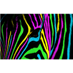 NeonZebra