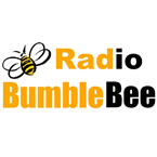 Radio BumbleBee